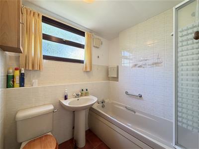 Picture 17